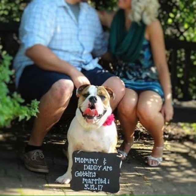 Dogs in Engagement Photos?