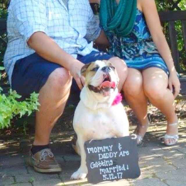 Dogs in Engagement Photos?