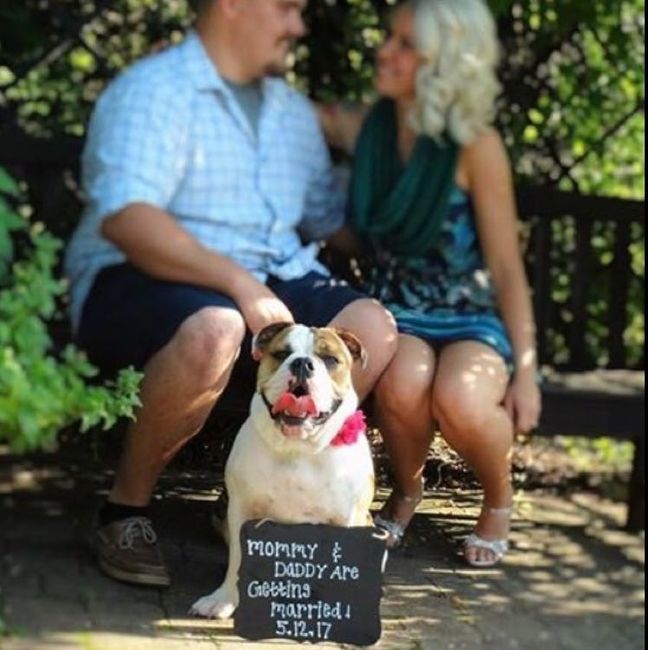 Got all my Engagement Pics back!