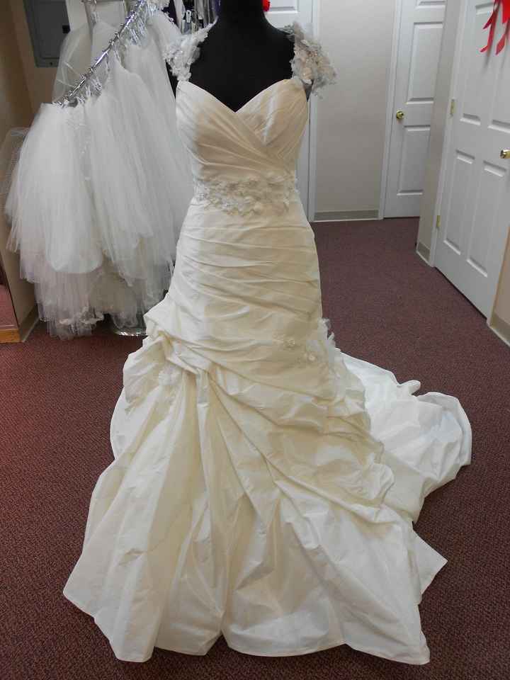 I rang the Bell and Said yes to the dress!! Lets see some of your dresses!!