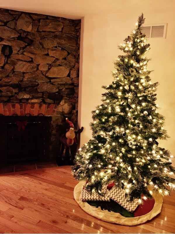 NWR-show me your Xmas trees