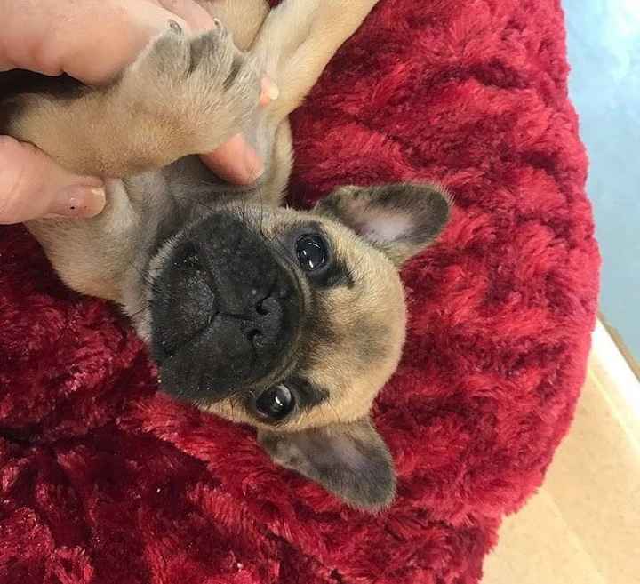 NWR: I didn't get the promotion