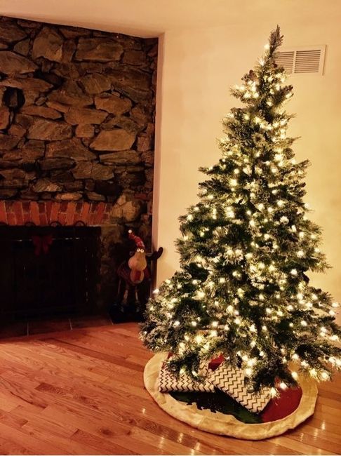 NWR-show me your Xmas trees