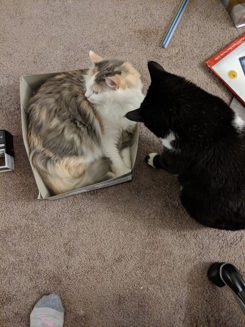 Tell Me Something Good! 6