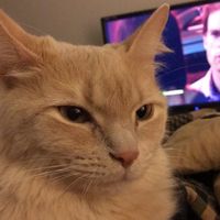 NWR: How could you even consider it?