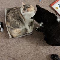 Tell Me Something Good! - 1