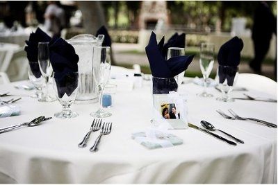 Please help me decide on linen and napkin colors for my reception room...