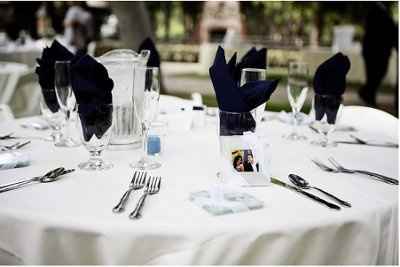 Please help me decide on linen and napkin colors for my reception room...
