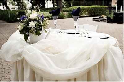 Please help me decide on linen and napkin colors for my reception room...