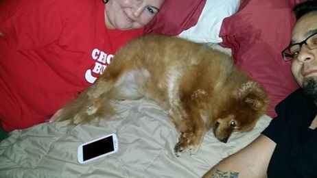 It's National Dog Day!
