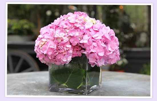 Help with Budget for Shower Centerpieces
