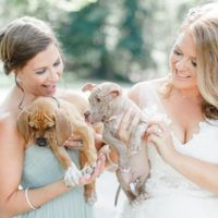 a bouquet without flowers - 1