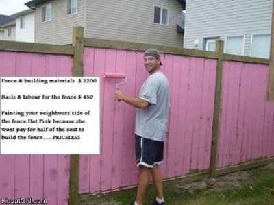 NWR: It's FRIDAY  Pic Heavy... at least I hope it is...