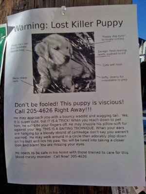 NWR: It's FRIDAY  Pic Heavy... at least I hope it is...