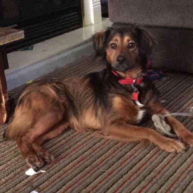 NWR: Show me your pups!