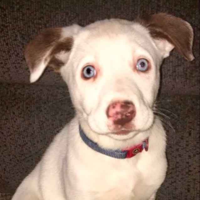 NWR: Show me your pups!