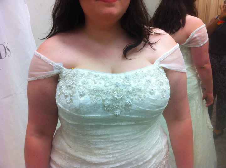 Adding Sleeves or Sleeveless