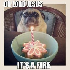So, it's VM's Birthday...