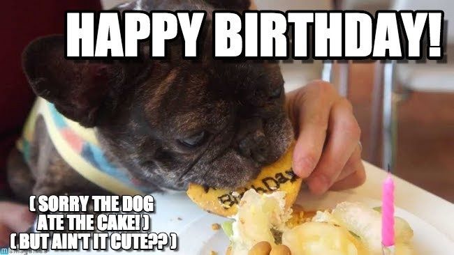 So, it's VM's Birthday...