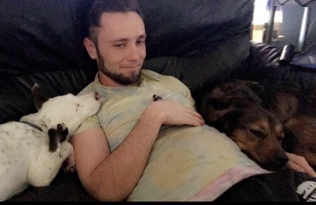 Wedding and Dogs