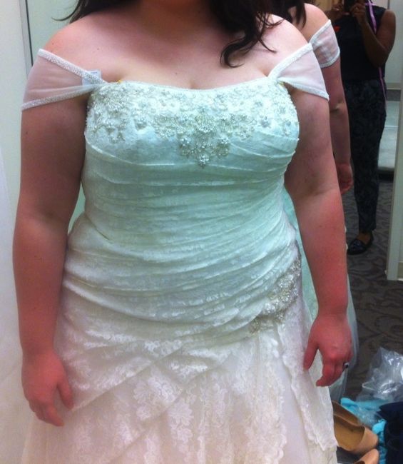 Adding Sleeves or Sleeveless