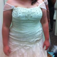 Adding Sleeves or Sleeveless