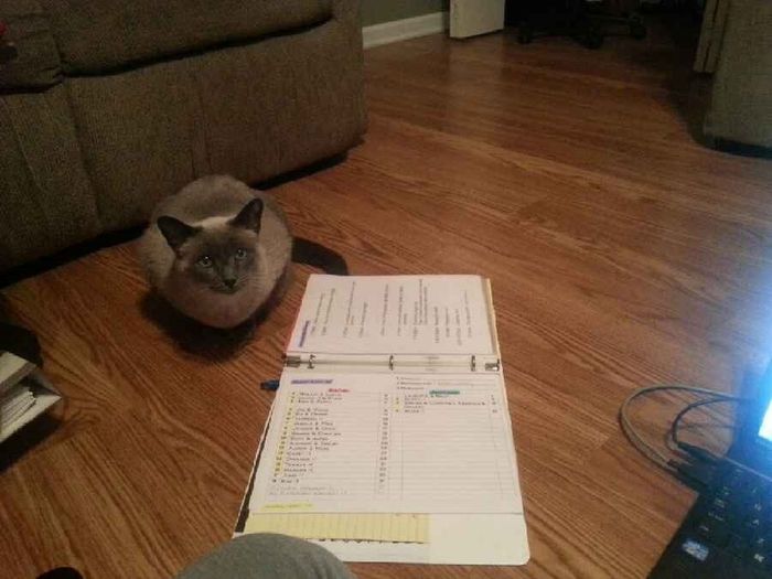 NWR: Pets "helping"