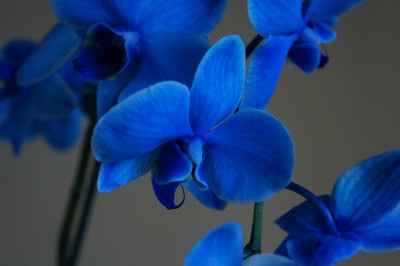 I need some advice ladies :(