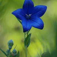 I need some advice ladies :(