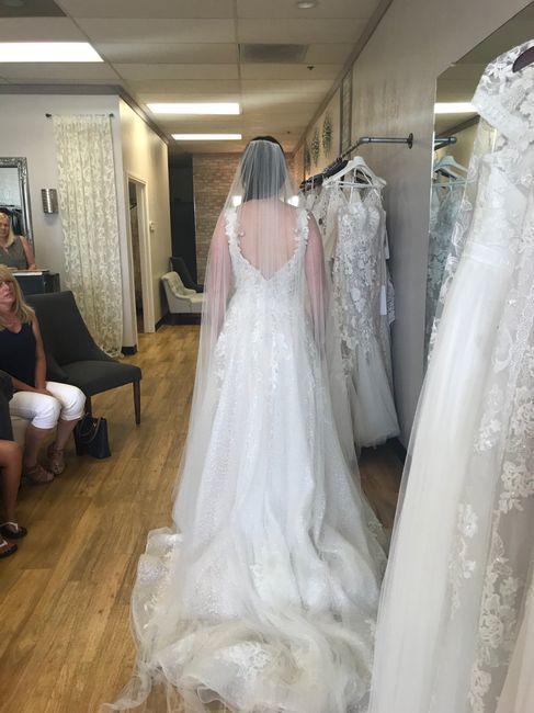 i said yes to the dress! 2