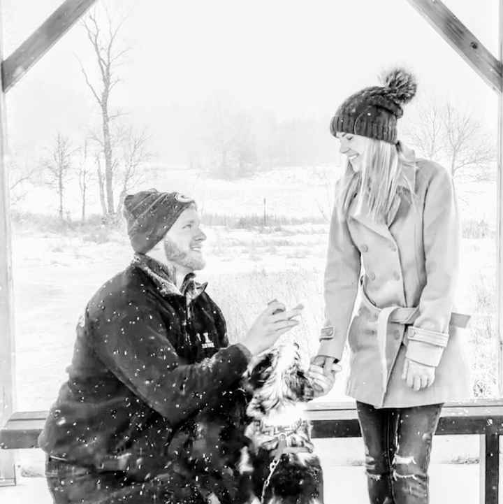 Any pet related stories? - 1