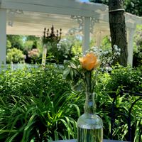 Bam!! No-pro/pic heavy - 8