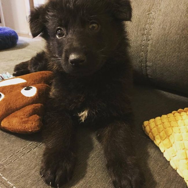 Baby Roman