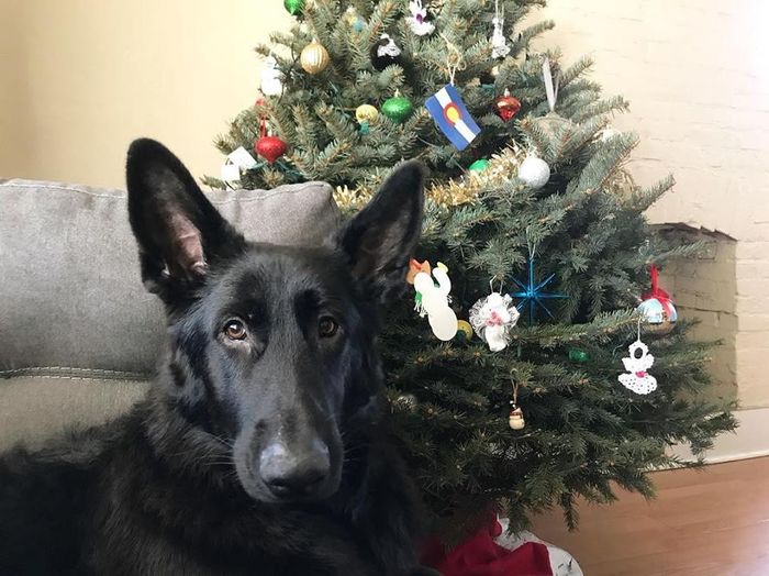 Christmas!