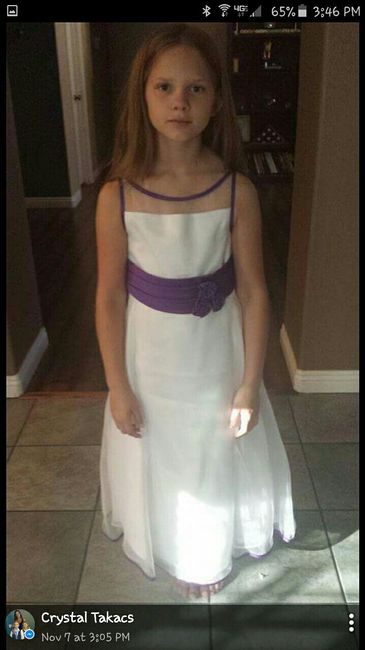 Flower Girl Dress! What's yours?