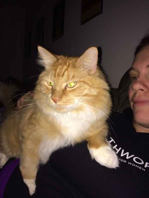 Seems like an awful lot of bad news on here today :(