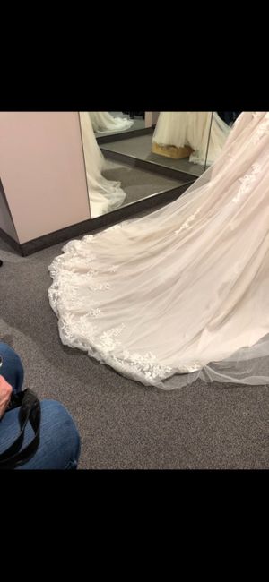 Veil & Hair Advice!! - 3