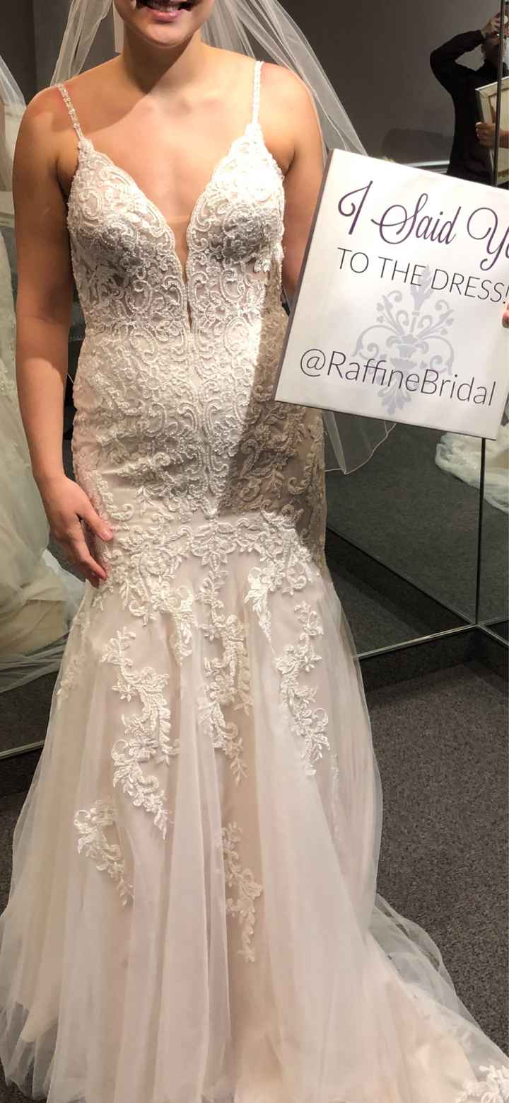 Veil & Hair Advice!! - 1