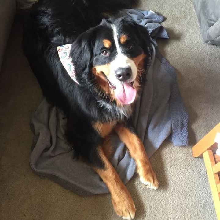 NWR:  Thursday Fursday