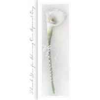 100 wedding / reception programs for as low as $5