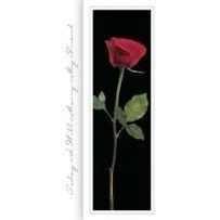 100 wedding / reception programs for as low as $5