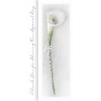 100 wedding / reception programs for as low as $5