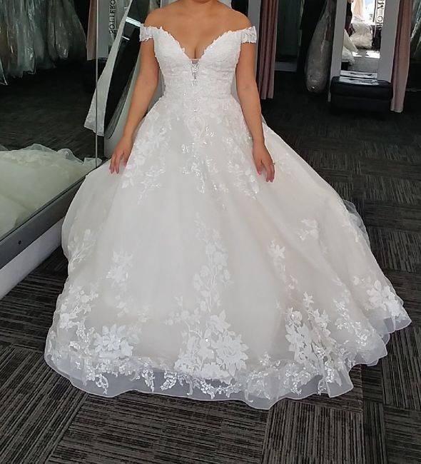 Found My Dream Dress!! - 2