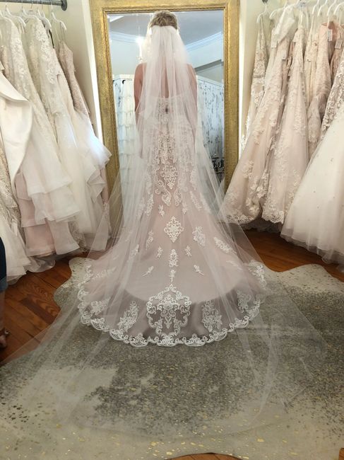 Stella York moscato vs ivory 3