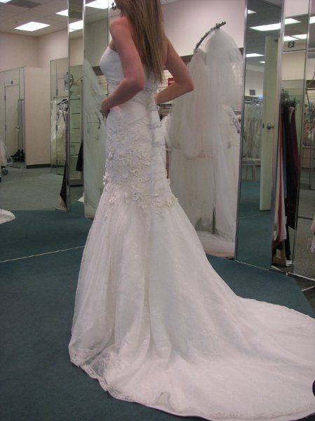 Davids Bridal brides??