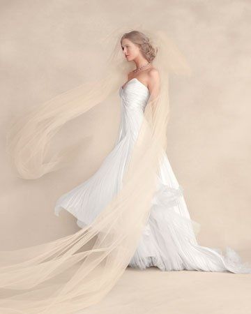 WR fun game and colored veils