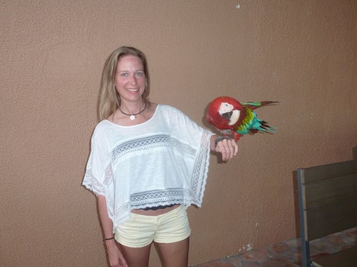 Back from honeymoon. PICS