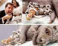 A Star Wars Wedding