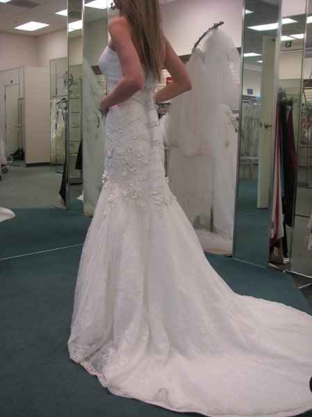 Davids Bridal brides??