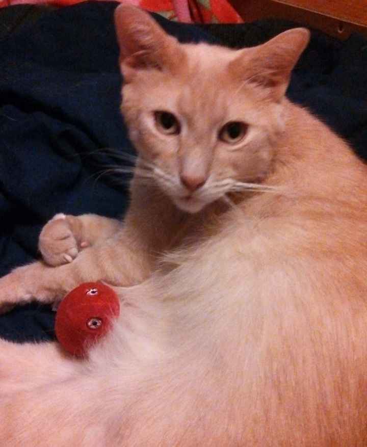 I'm having a cash bar, dollar dance, cash gift only, camo themed wedding in a park